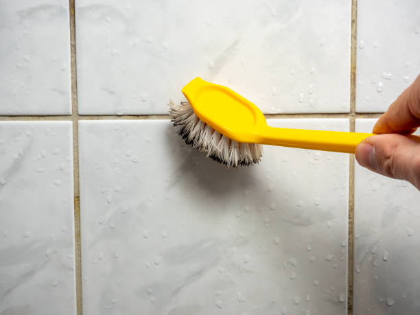 Best Mold Testing and Inspection Services in Dresden, TN
